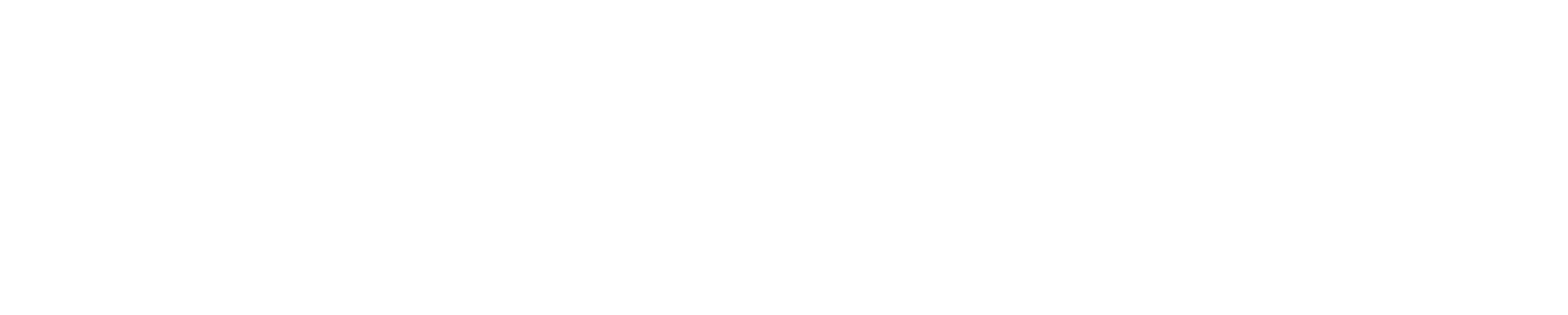 IONOS Logo